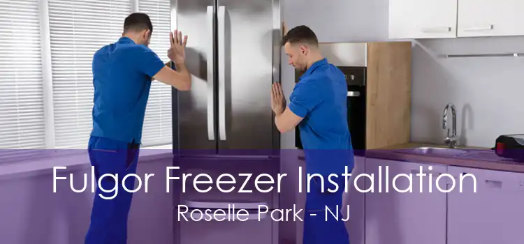 Fulgor Freezer Installation Roselle Park - NJ