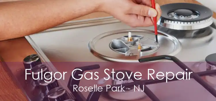 Fulgor Gas Stove Repair Roselle Park - NJ