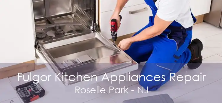 Fulgor Kitchen Appliances Repair Roselle Park - NJ