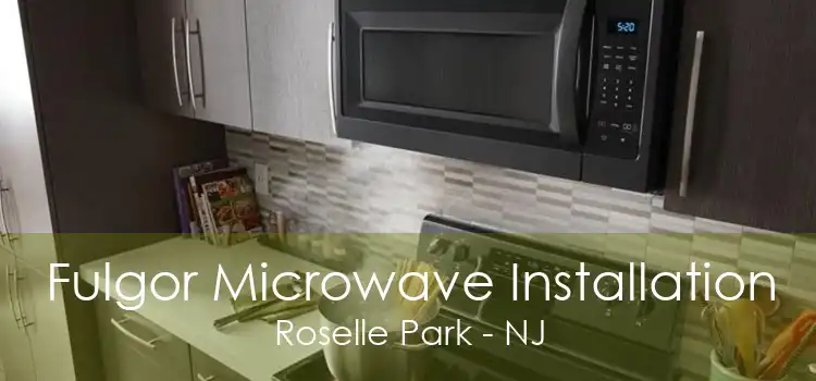 Fulgor Microwave Installation Roselle Park - NJ