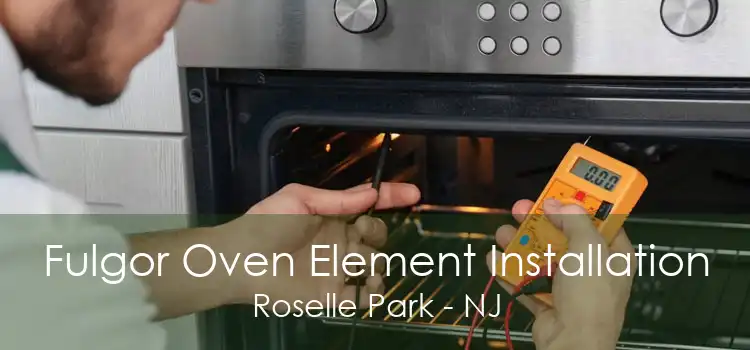 Fulgor Oven Element Installation Roselle Park - NJ