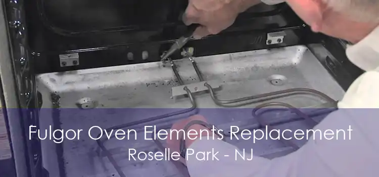 Fulgor Oven Elements Replacement Roselle Park - NJ