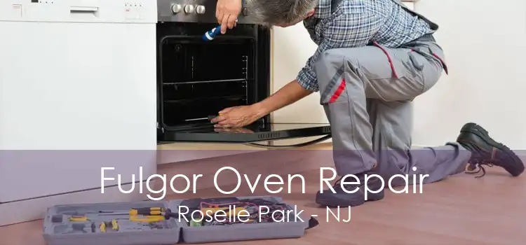 Fulgor Oven Repair Roselle Park - NJ