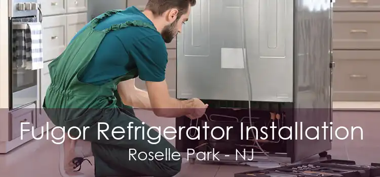 Fulgor Refrigerator Installation Roselle Park - NJ