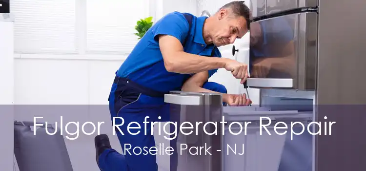 Fulgor Refrigerator Repair Roselle Park - NJ