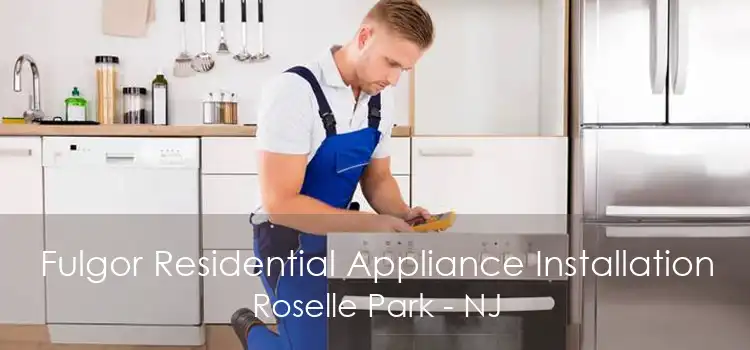 Fulgor Residential Appliance Installation Roselle Park - NJ