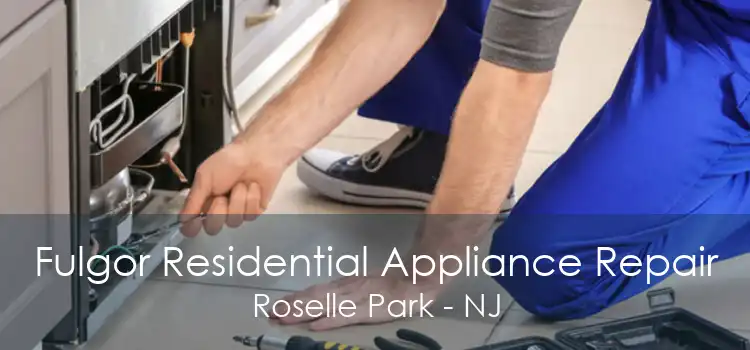 Fulgor Residential Appliance Repair Roselle Park - NJ