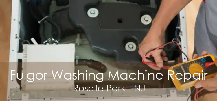 Fulgor Washing Machine Repair Roselle Park - NJ