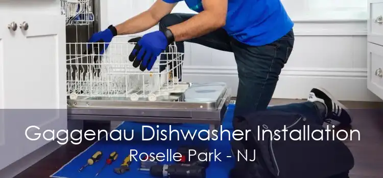 Gaggenau Dishwasher Installation Roselle Park - NJ
