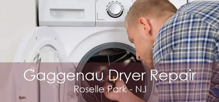 Gaggenau Dryer Repair Roselle Park - NJ
