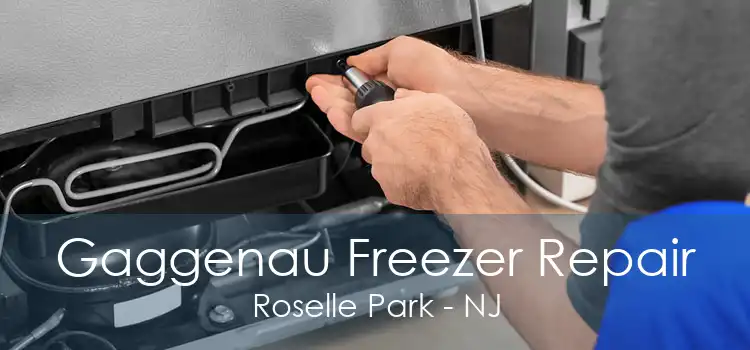 Gaggenau Freezer Repair Roselle Park - NJ