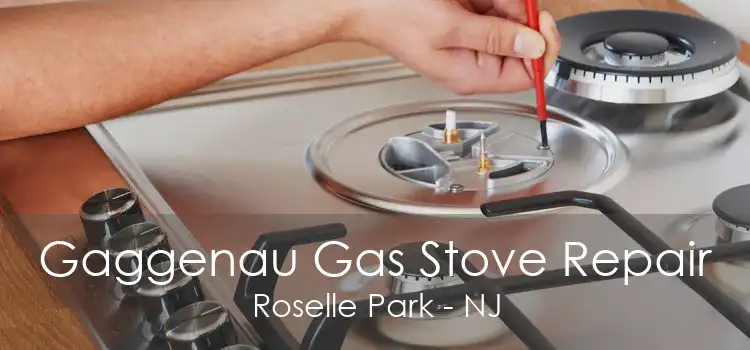 Gaggenau Gas Stove Repair Roselle Park - NJ