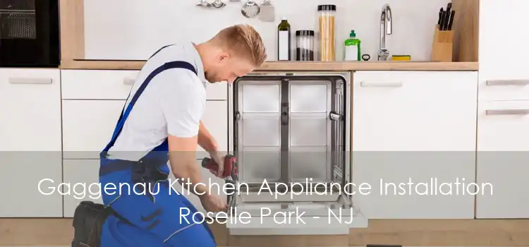 Gaggenau Kitchen Appliance Installation Roselle Park - NJ