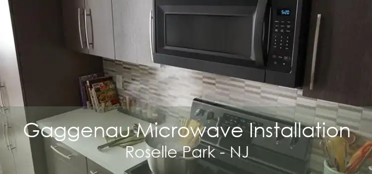Gaggenau Microwave Installation Roselle Park - NJ