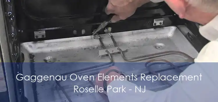 Gaggenau Oven Elements Replacement Roselle Park - NJ