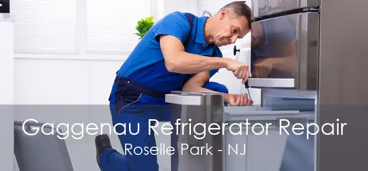Gaggenau Refrigerator Repair Roselle Park - NJ