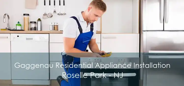 Gaggenau Residential Appliance Installation Roselle Park - NJ