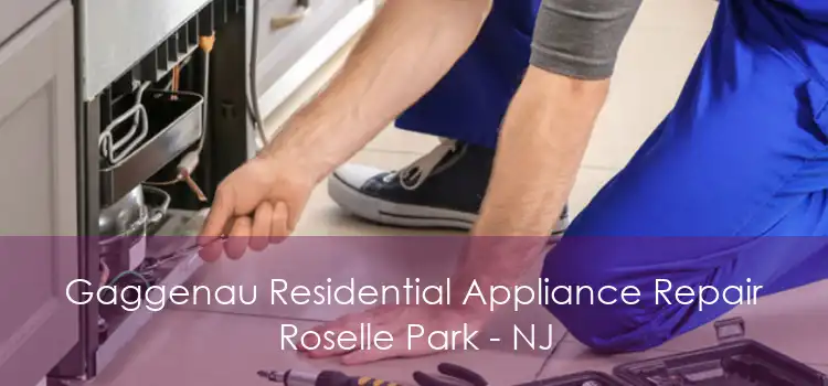 Gaggenau Residential Appliance Repair Roselle Park - NJ