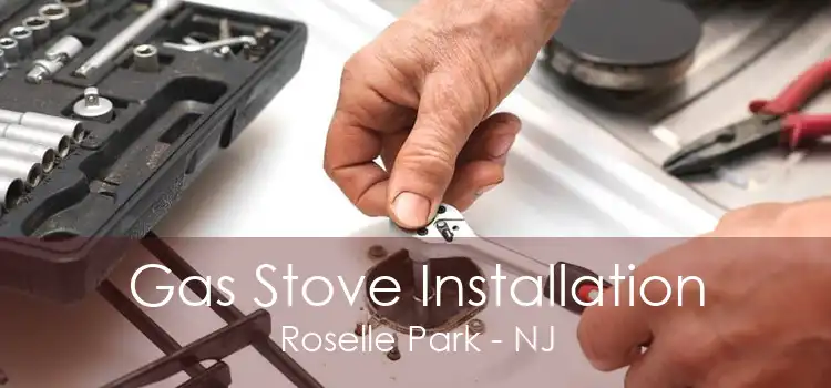 Gas Stove Installation Roselle Park - NJ