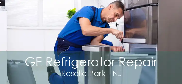 GE Refrigerator Repair Roselle Park - NJ