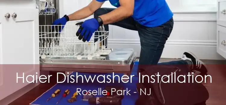 Haier Dishwasher Installation Roselle Park - NJ