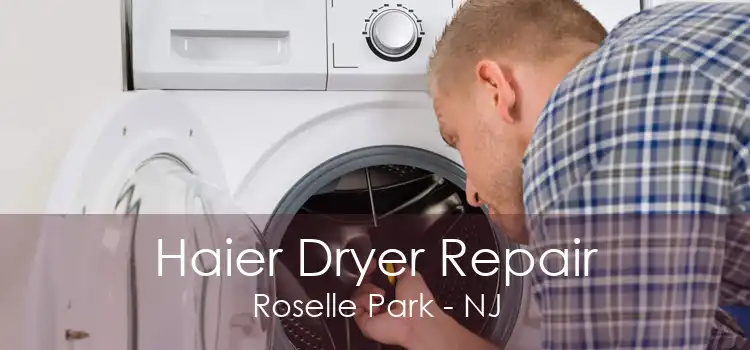 Haier Dryer Repair Roselle Park - NJ