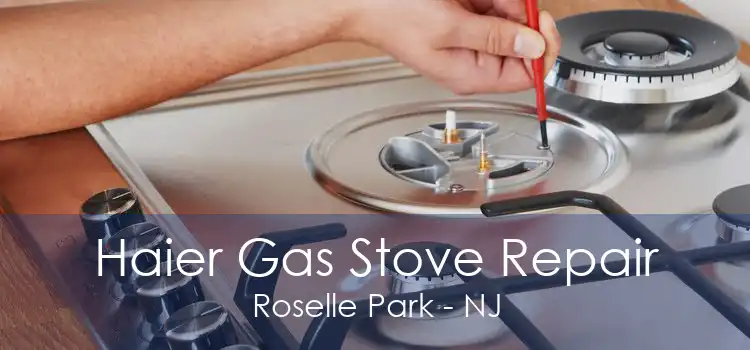 Haier Gas Stove Repair Roselle Park - NJ