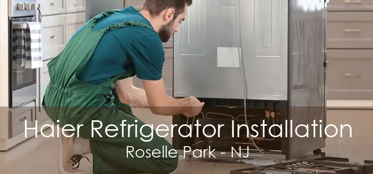 Haier Refrigerator Installation Roselle Park - NJ