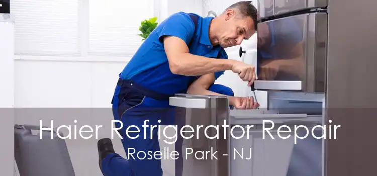Haier Refrigerator Repair Roselle Park - NJ
