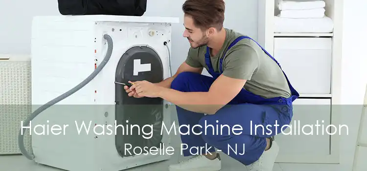 Haier Washing Machine Installation Roselle Park - NJ