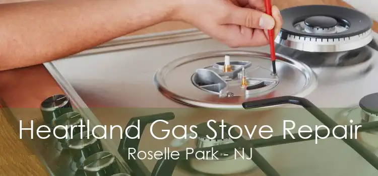 Heartland Gas Stove Repair Roselle Park - NJ