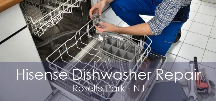 Hisense Dishwasher Repair Roselle Park - NJ