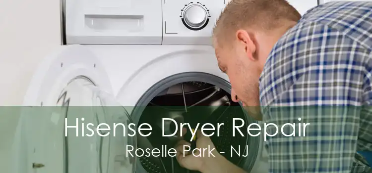 Hisense Dryer Repair Roselle Park - NJ