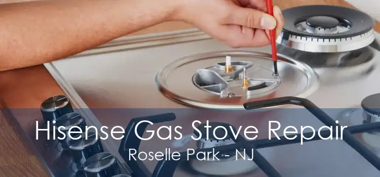 Hisense Gas Stove Repair Roselle Park - NJ