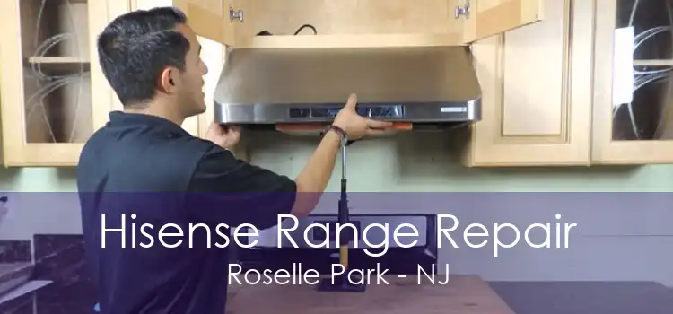 Hisense Range Repair Roselle Park - NJ