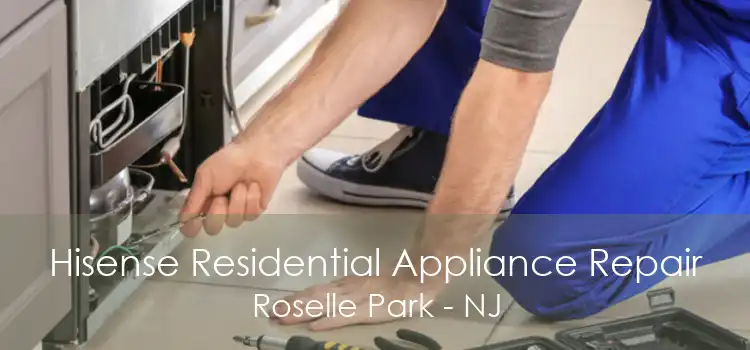 Hisense Residential Appliance Repair Roselle Park - NJ
