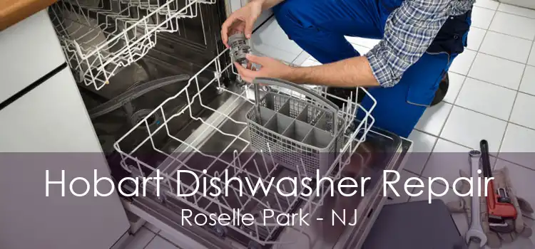 Hobart Dishwasher Repair Roselle Park - NJ