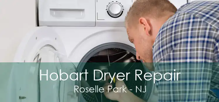 Hobart Dryer Repair Roselle Park - NJ
