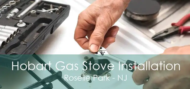 Hobart Gas Stove Installation Roselle Park - NJ