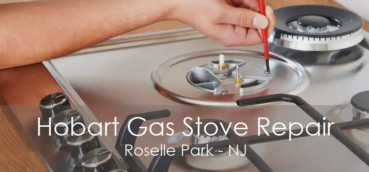 Hobart Gas Stove Repair Roselle Park - NJ