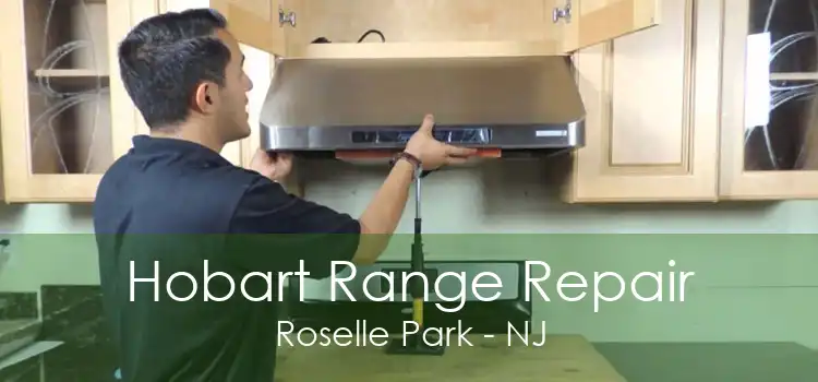 Hobart Range Repair Roselle Park - NJ