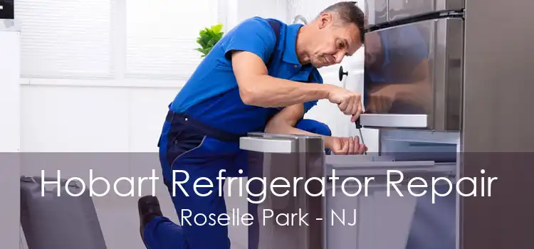 Hobart Refrigerator Repair Roselle Park - NJ