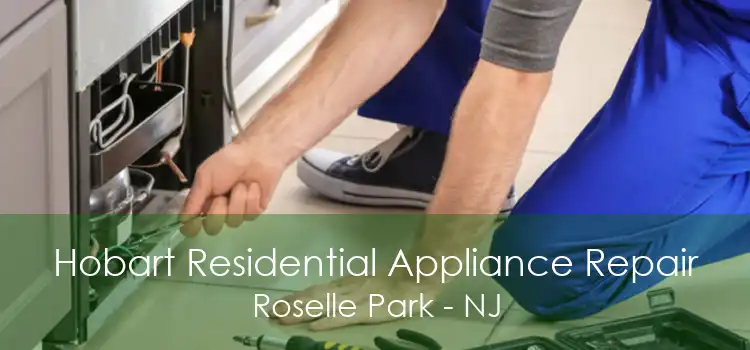 Hobart Residential Appliance Repair Roselle Park - NJ