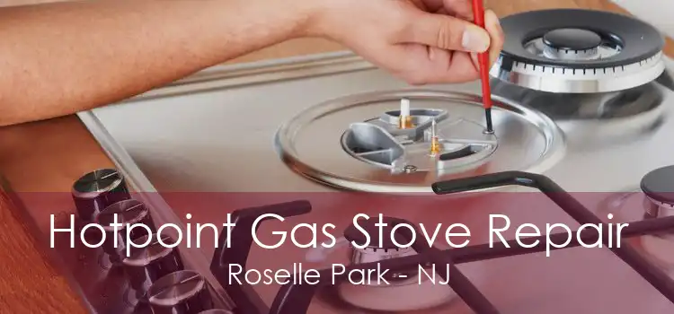 Hotpoint Gas Stove Repair Roselle Park - NJ