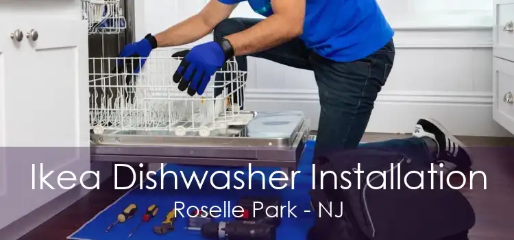 Ikea Dishwasher Installation Roselle Park - NJ