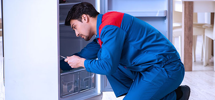 Asko Freezer Repair Services in Roselle Park, New Jersey