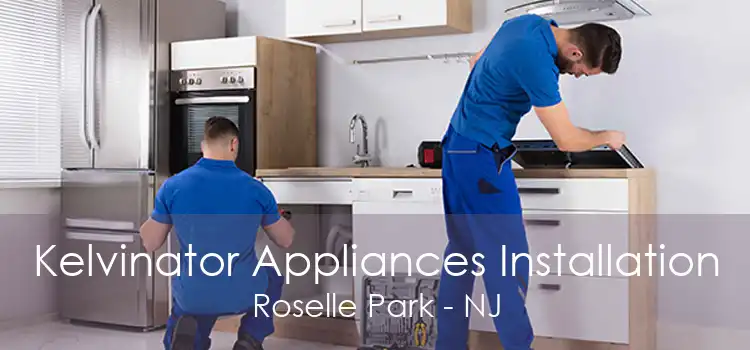 Kelvinator Appliances Installation Roselle Park - NJ
