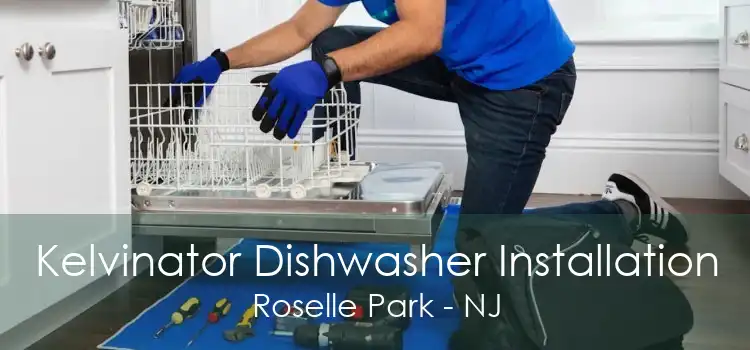 Kelvinator Dishwasher Installation Roselle Park - NJ