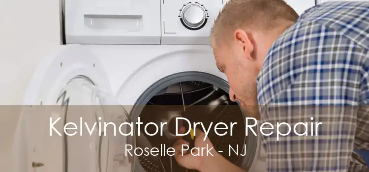 Kelvinator Dryer Repair Roselle Park - NJ