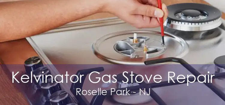 Kelvinator Gas Stove Repair Roselle Park - NJ